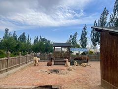 -大青山野生动物园