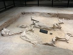 -洛阳周王城天子驾六博物馆