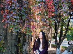 -辽宁大学(崇山校区)