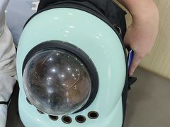 -瑞派蒂凯宠物医院·免疫点·宠保定点