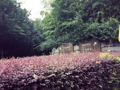 -天目湖涵田半山温泉