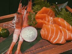三文鱼刺身-曙亚洲餐厅-重庆富力艾美酒店(南坪万达广场店)