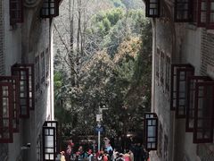 -武汉大学-樱园