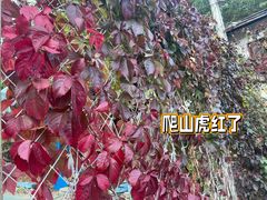 -北京水岸山吧度假村(雁栖镇店)