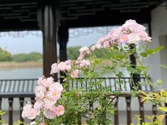 -梁鸿国家湿地公园