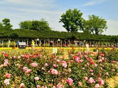 -武汉紫薇都市田园