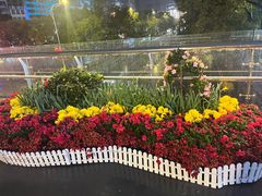 -安徽八里河旅游区