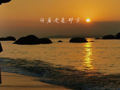 -椰风寨