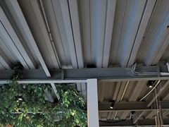 -金塔傣乡·云南民族特色菜·傣味手抓饭(金瓦路店)