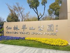 -羊山湖公园