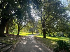 -墨尔本皇家植物园