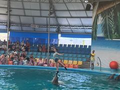 -尼莫海豚馆