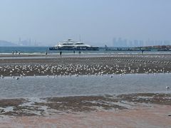 -青岛第一海水浴场