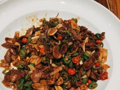 -北京老铺烤鸭(高新店)
