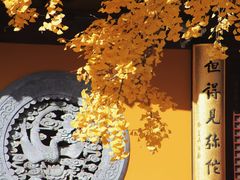 -龙华寺