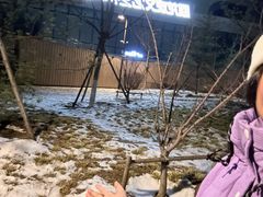 -回龙观体育文化公园