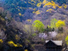 -九如山休闲旅游度假区