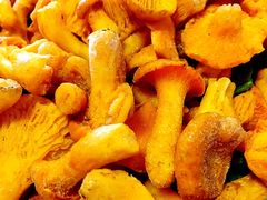 iphone_upload_pic-易门野生菌府·菌海森林(月牙潭公园店)
