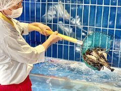 -海底捞大排档火锅(悦荟广场店)