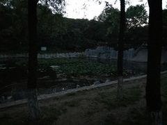 -高尔山公园