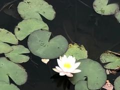 -白马涧龙池景区