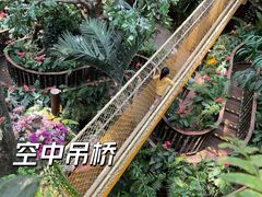 -正佳雨林生态植物园