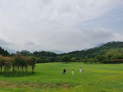 -福建鲤鱼洲酒店