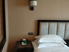 -长沙小天鹅戴斯酒店