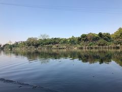 -小洲村