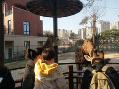 -灵玲国际马戏城