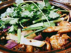 -胡须佬鸡煲四季火锅(龙珠大道店)