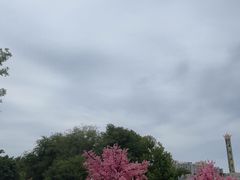 -南湖梦幻岛