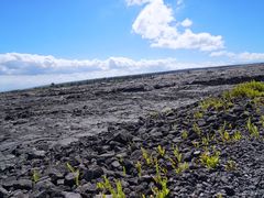 -夏威夷火山国家公园
