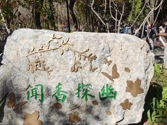 -北宫国家森林公园