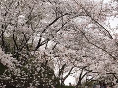 -杭州少年儿童公园