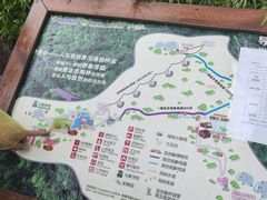 -野象谷景区