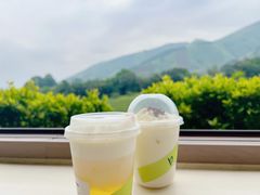 -白茶原·一片叶子