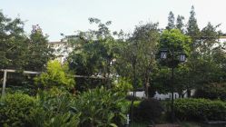 点击看大图 -莲生母婴月子中心(清水河公园店)