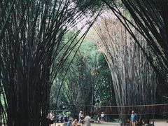 -望江楼公园