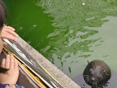-灵玲国际马戏城