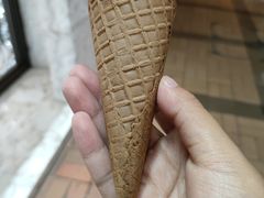-富豪雪糕车流动点(尖沙咀店)
