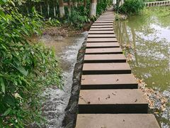 -桤木河湿地公园