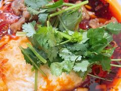 -智强牛肉面