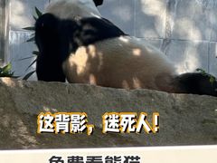 -石排湾郊野公园