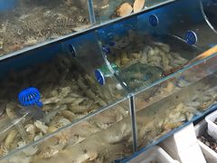 -宾朋海鲜特色美食餐厅·纯手工鲅鱼水饺(兴海路店)