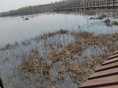 -西青郊野公园
