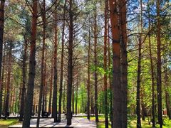 -北极村旅游风景区