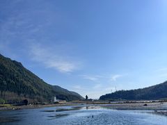 -腾冲北海湿地