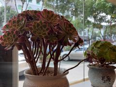 -醉美东江·三文鱼·烧鸡公