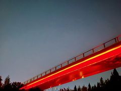 -青枫公园